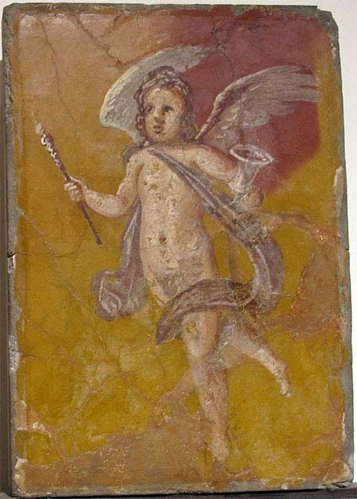 Villa dei Papiri, Herculaneum. Fresco of winged cupid with cup and baton.
Now in Naples Archaeological Museum. Inventory number 9319.